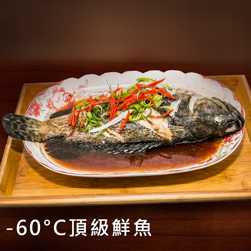 -60℃頂級鮮魚